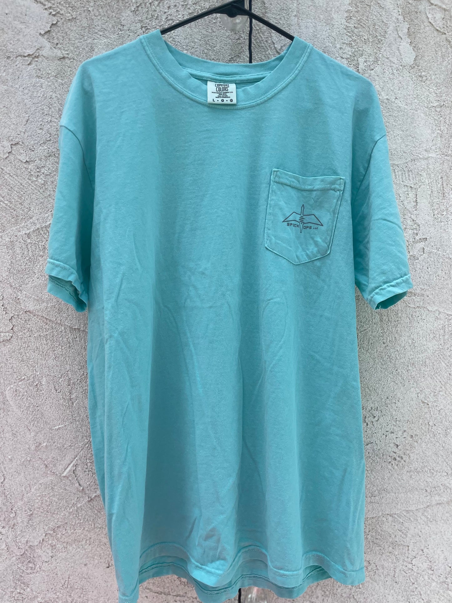 'Doggles' Comfort Colors Pocket Tee - SEAFOAM